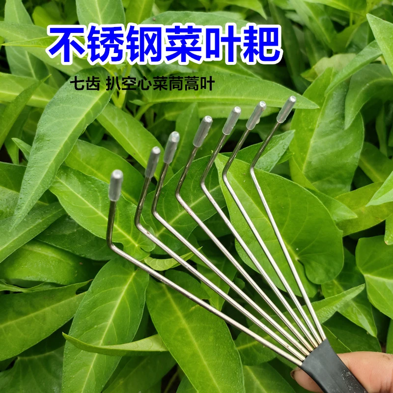 大棚青菜叶梳子扒梳菜叶子工具蔬菜耙子空芯菜梳子不锈钢七齿耙梳