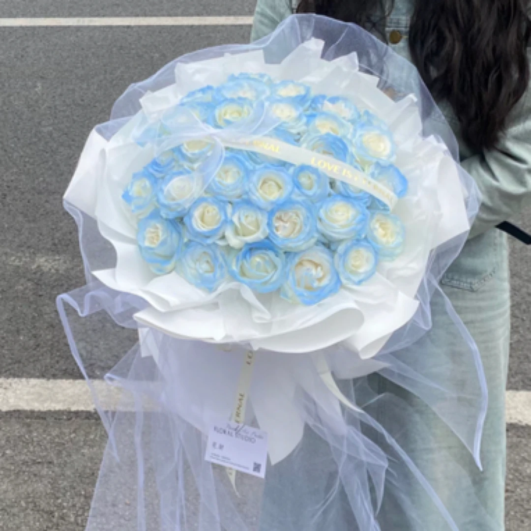 （浩晨）送你星辰与大海，满眼星辰皆是你33支碎冰蓝托尾纱