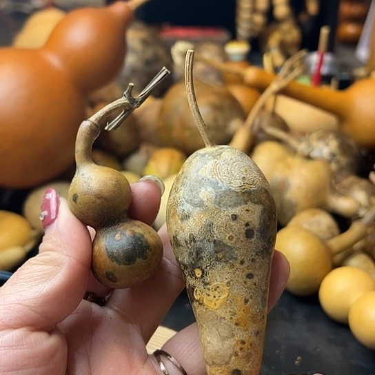 立*葫芦葫芦葫芦葫芦