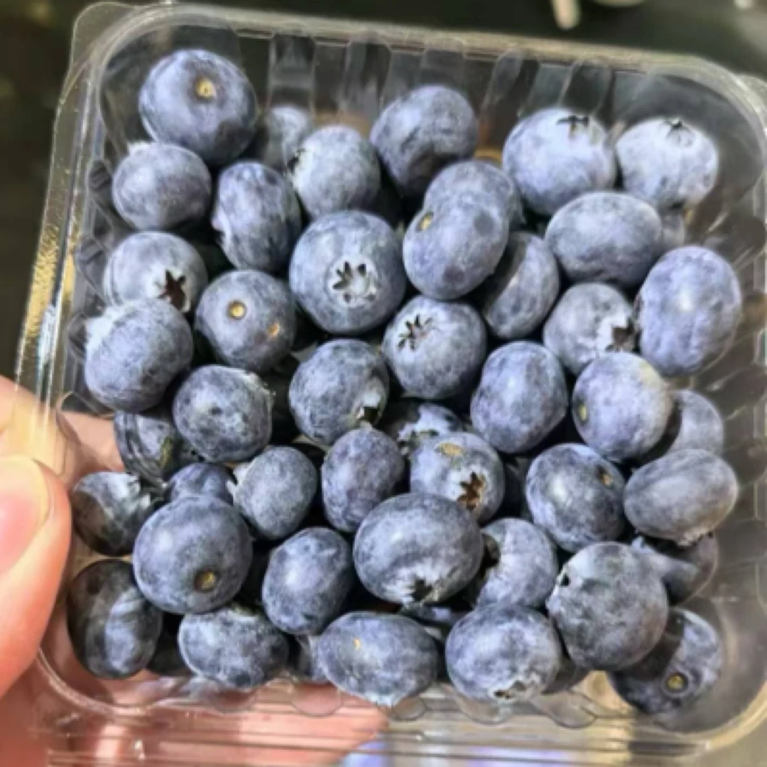 蓝莓125g*4盒乌鲁木齐京东包邮同城次日达
