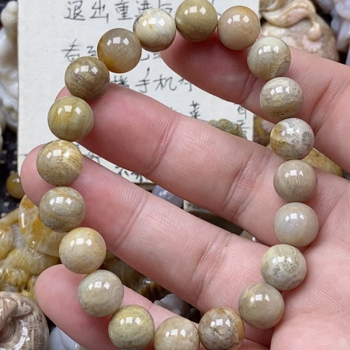 颈饰未镶嵌硅化珊瑚（珊瑚玉）