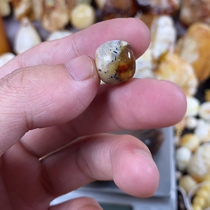 裸石琥珀未镶嵌我