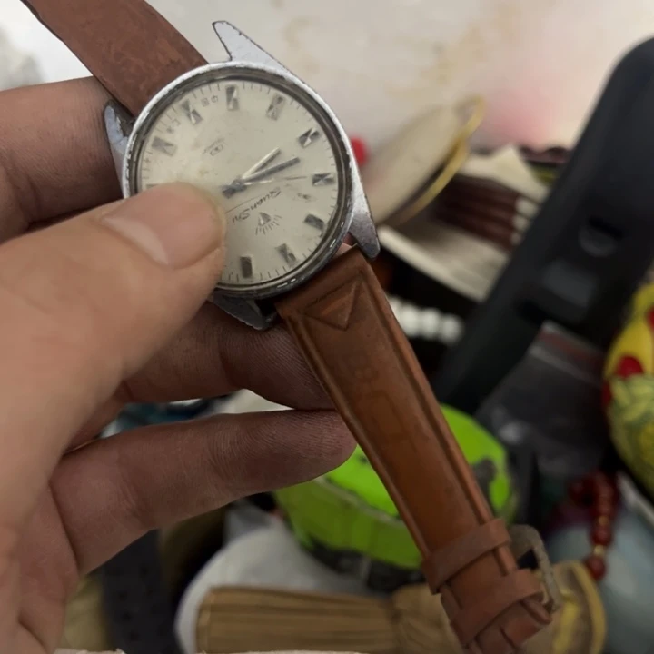 ℳ****杂色豆（科檀/科特迪瓦檀木）