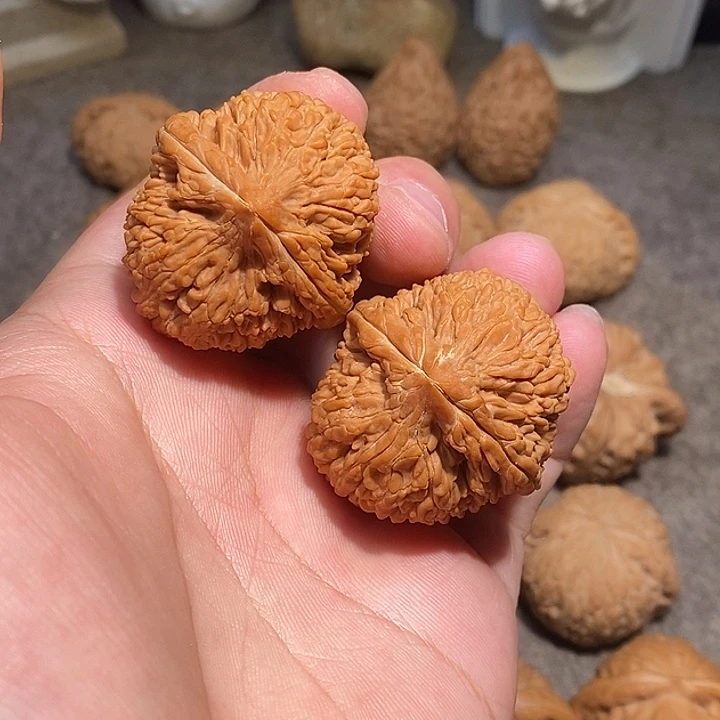 核桃手串/手链40全品蒜头