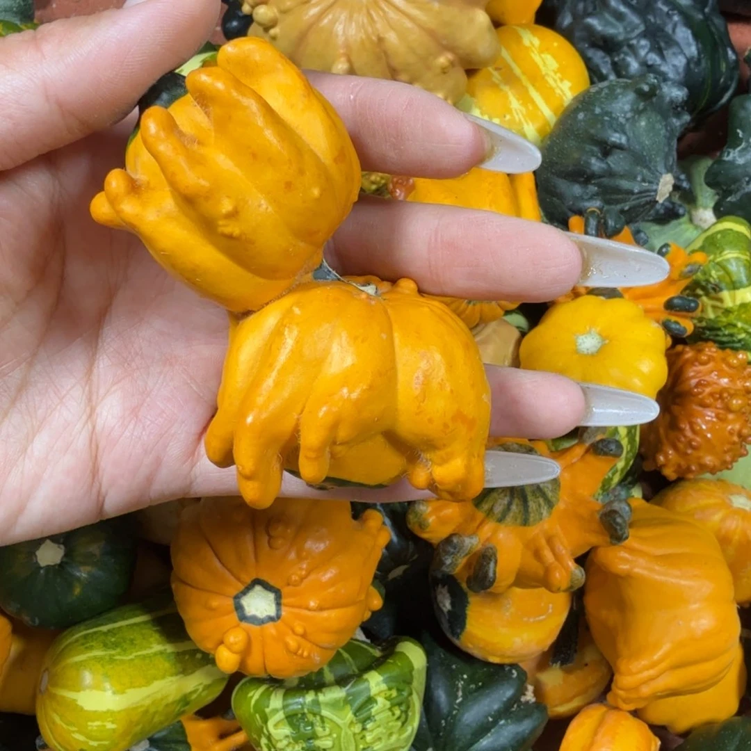 祥***饿哦饿哦饿哦饿哦饿哦