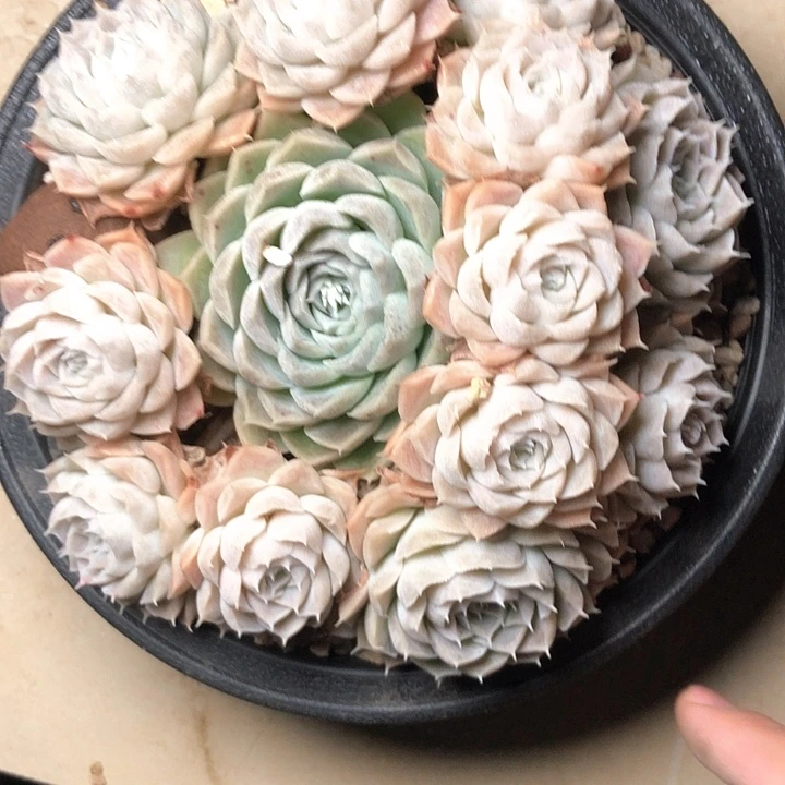 A****39////////////////