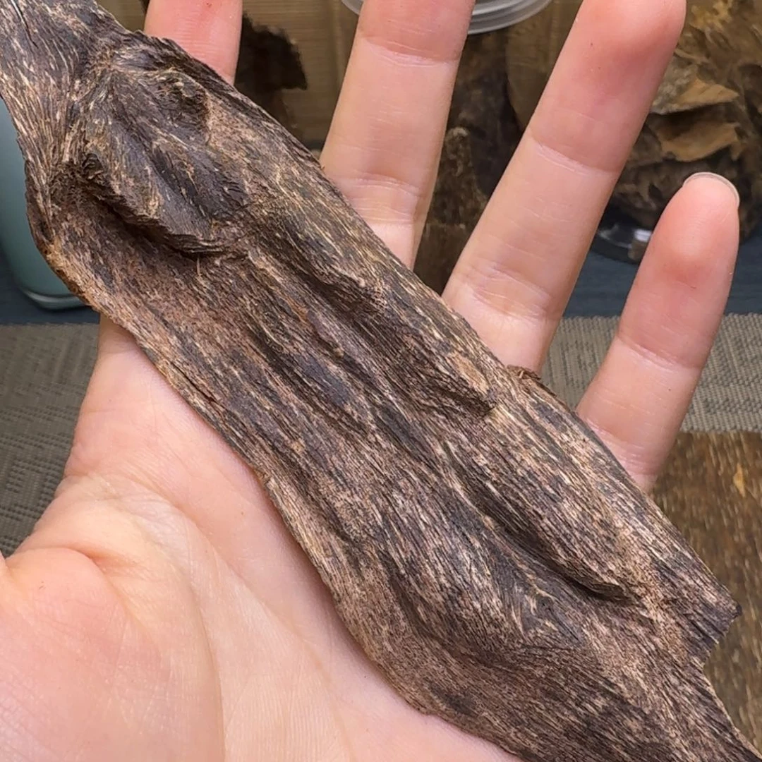 和***顺木海南黎母山起泡油7克福利