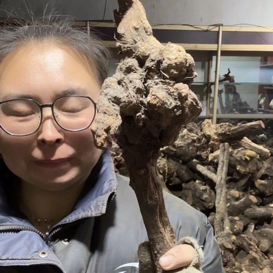 香榧木小*火琉璃的毛料摆件