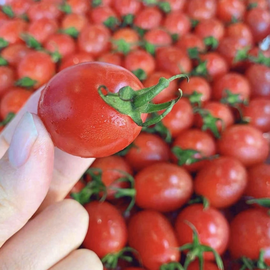 【同城配送到家】冰糖千禧（2斤装）9.9一件