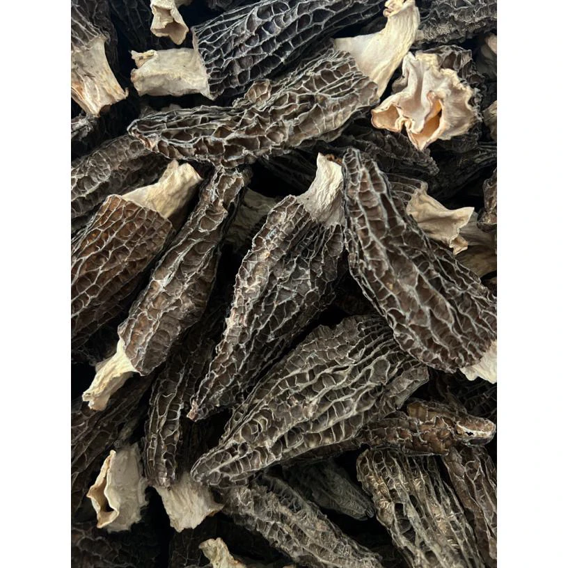 云南头茬厚肉羊肚菌