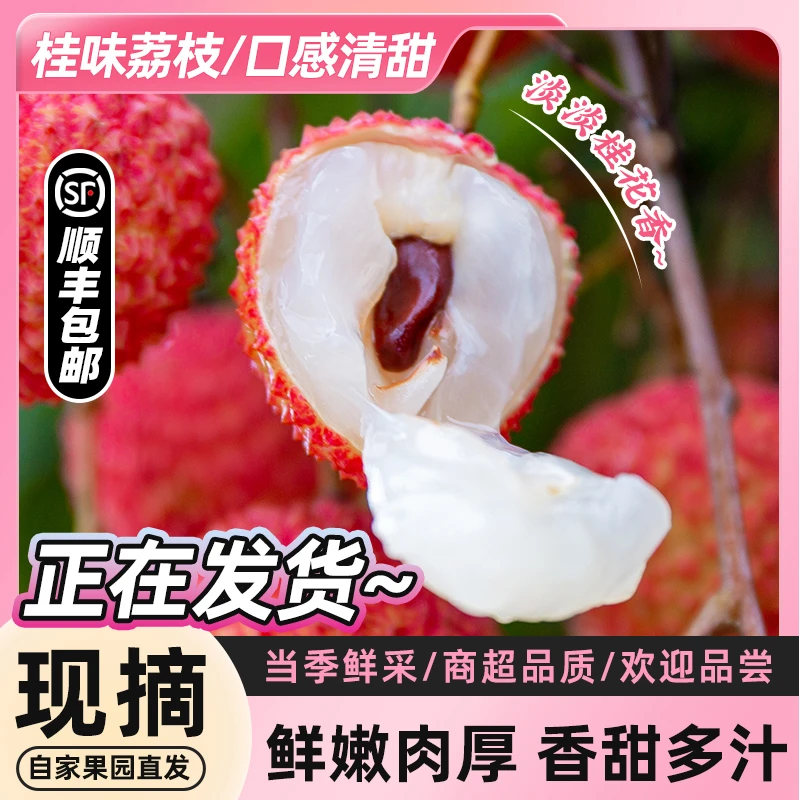 高州桂味荔枝新鲜现摘顺丰2.5/4.5斤包邮现货当季消暑水果RMZB