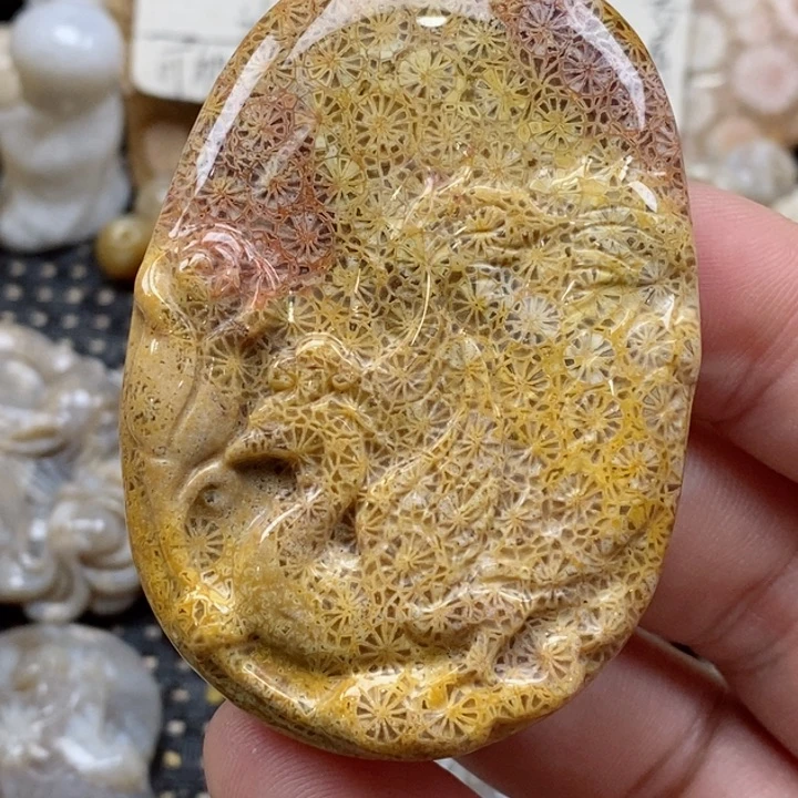 颈饰未镶嵌硅化珊瑚（珊瑚玉）