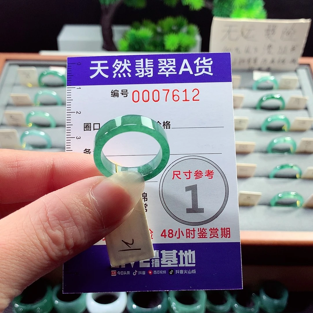 翡翠戒指未镶嵌21号