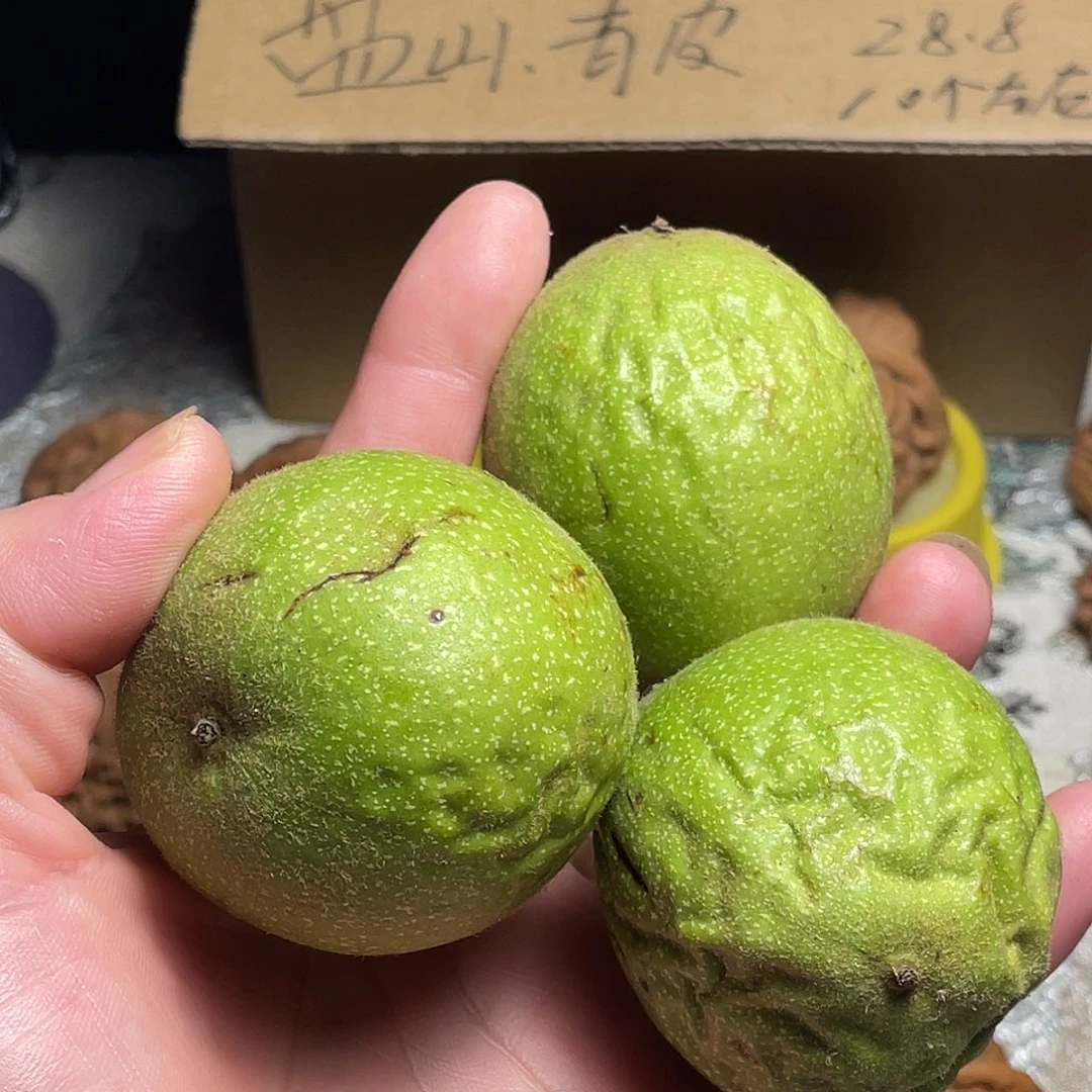 文玩核桃把件盘山青皮不退不换