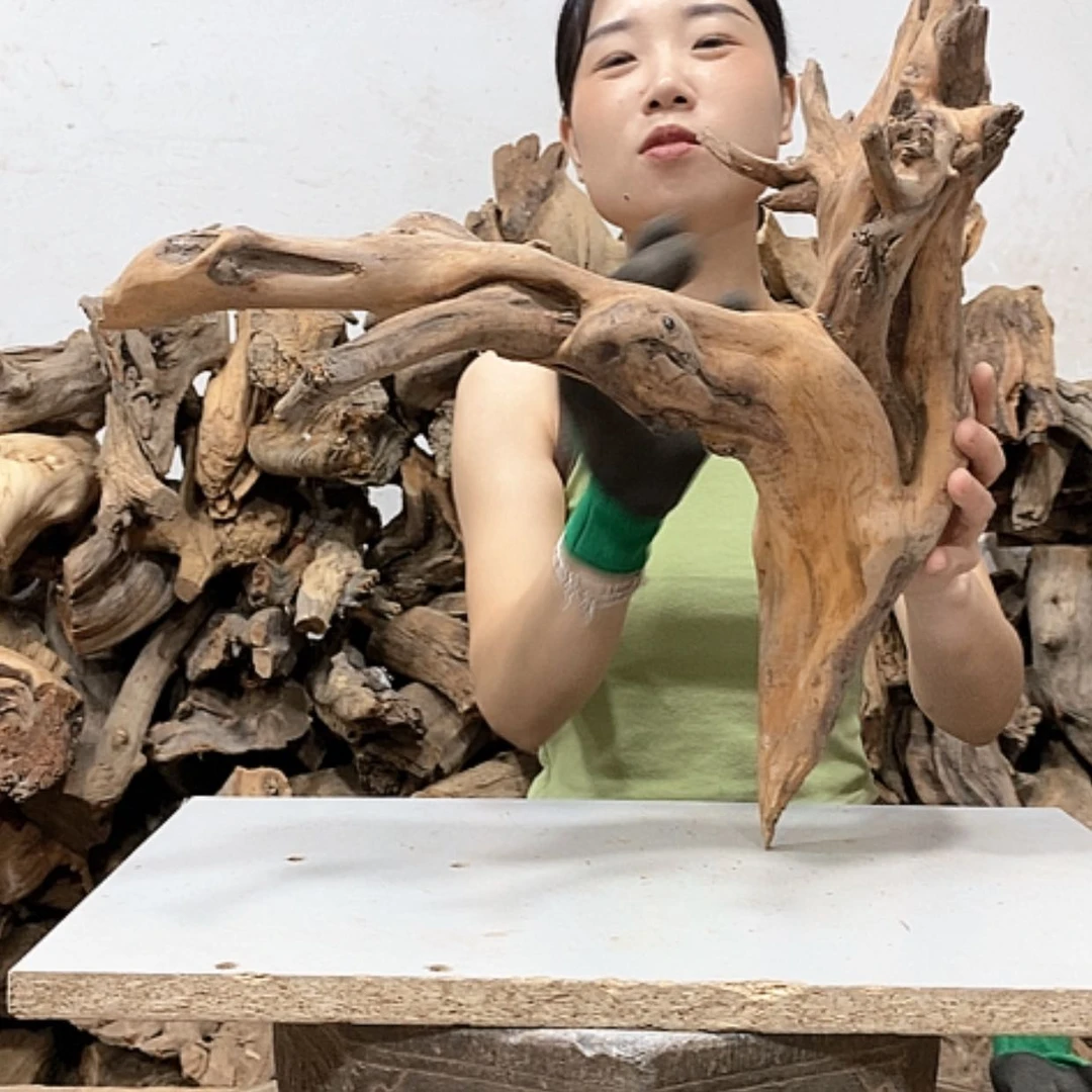 【闪购商品】柏木长*我们都是好孩子