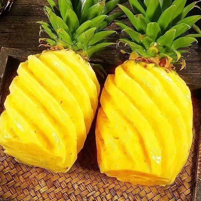 【果园直发+超甜】海南金钻菠萝手撕树上熟香甜新鲜水果