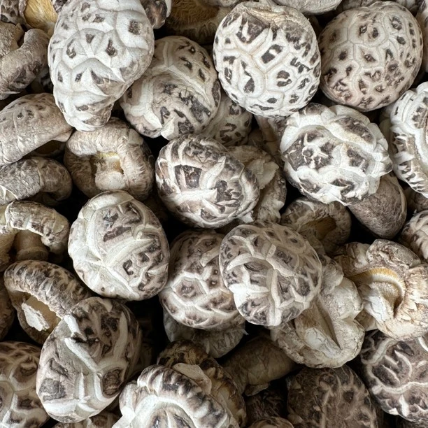 花菇 厚肉花菇干香菇干 500克