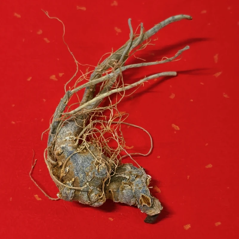 全支三七           滋补养生原料