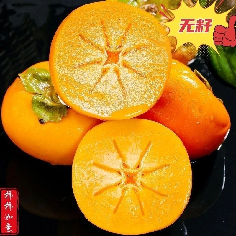 云南脆柿新鲜采摘脆甜柿子脆甜爽口新鲜水果应季水果脆柿子