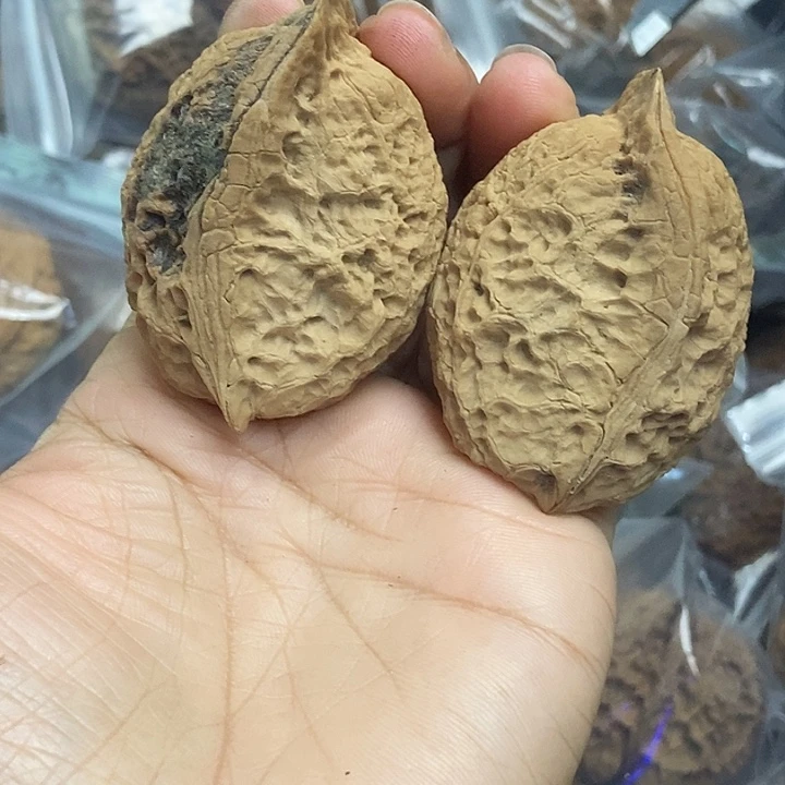 木质类云南铁核桃基地26