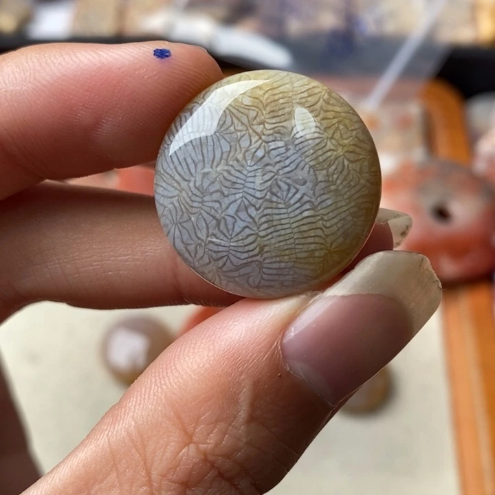 硅化玉颈饰未镶嵌菓*薆