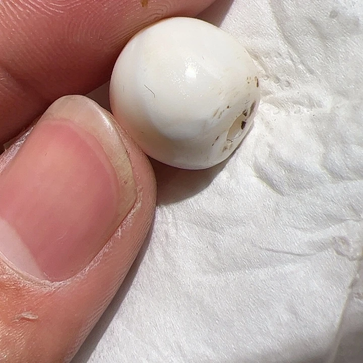 香榧木在家了一个