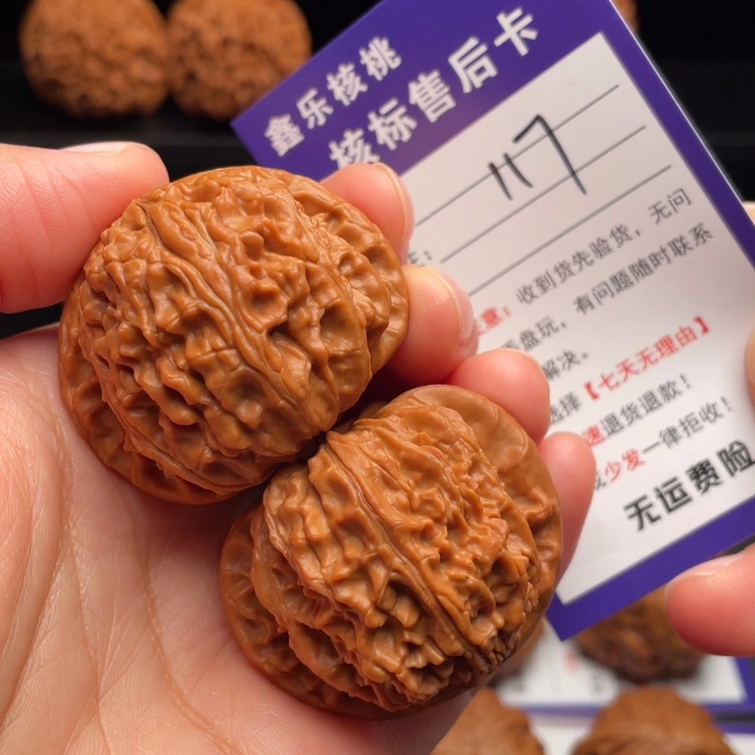 把件文玩核桃白狮子42尺