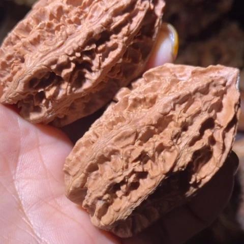 文玩核桃把件东北野生楸子小美98