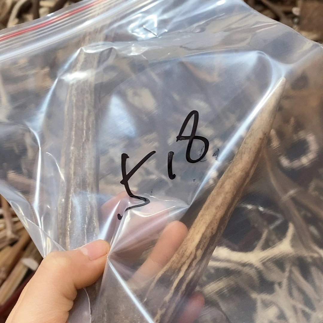 鹿角鹿角鹿角鹿面鹿角
