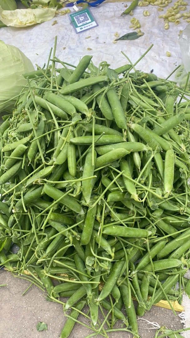 云南荷兰豆新鲜现摘豌豆现发甜脆带壳