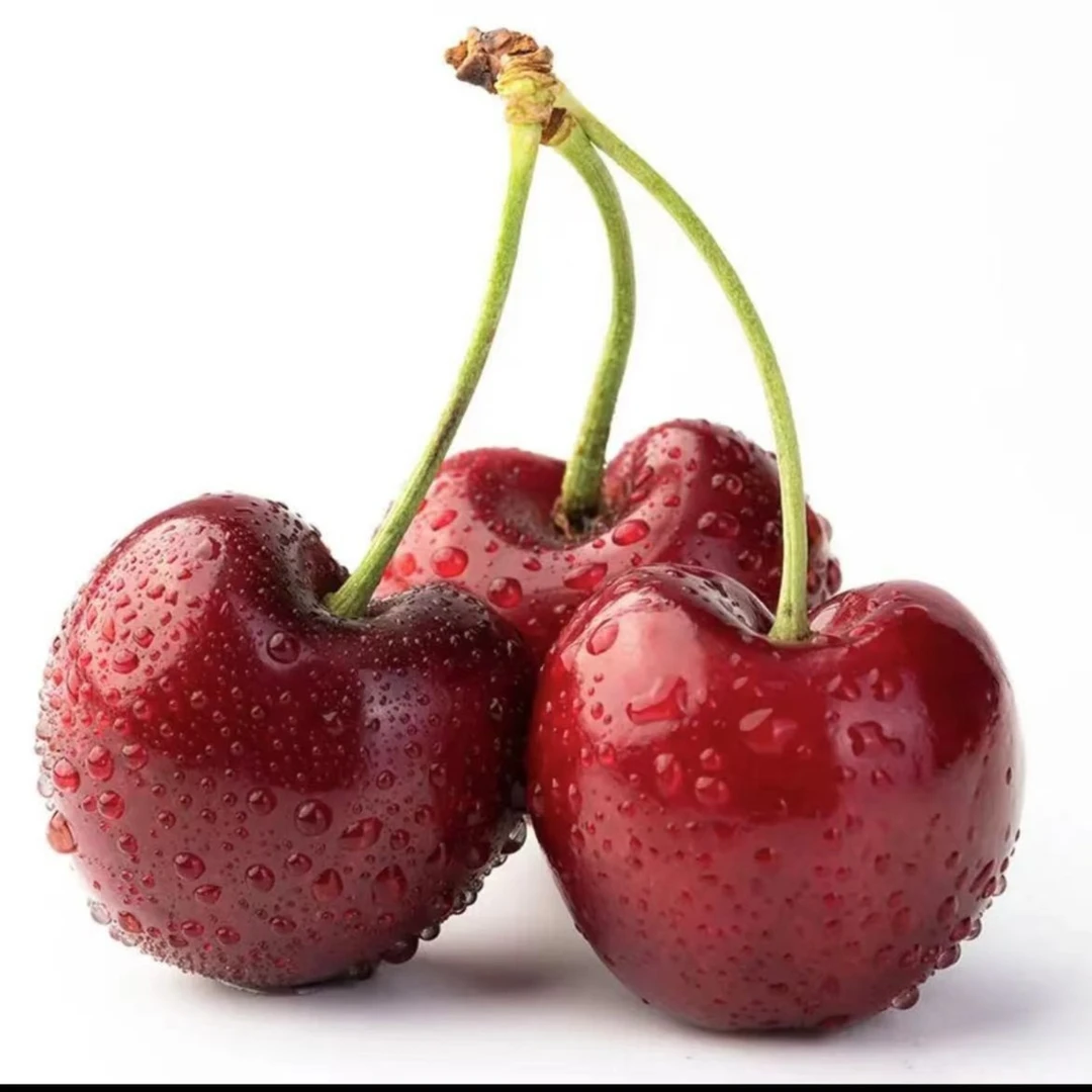 【手挑04】粉箱4JD海运黑车厘子只发天津内附果径卡熊猫