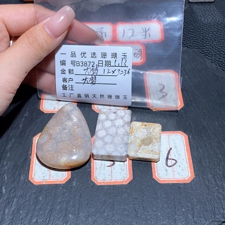 硅化珊瑚（珊瑚玉）颈饰合金一**梦3872