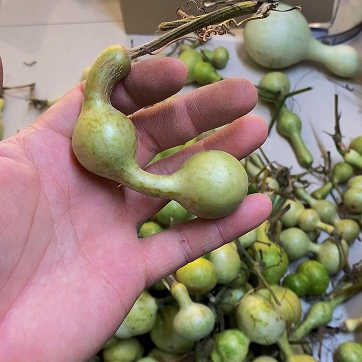 r长嘴哈哈哈哈哈哈哈哈哈哈太
