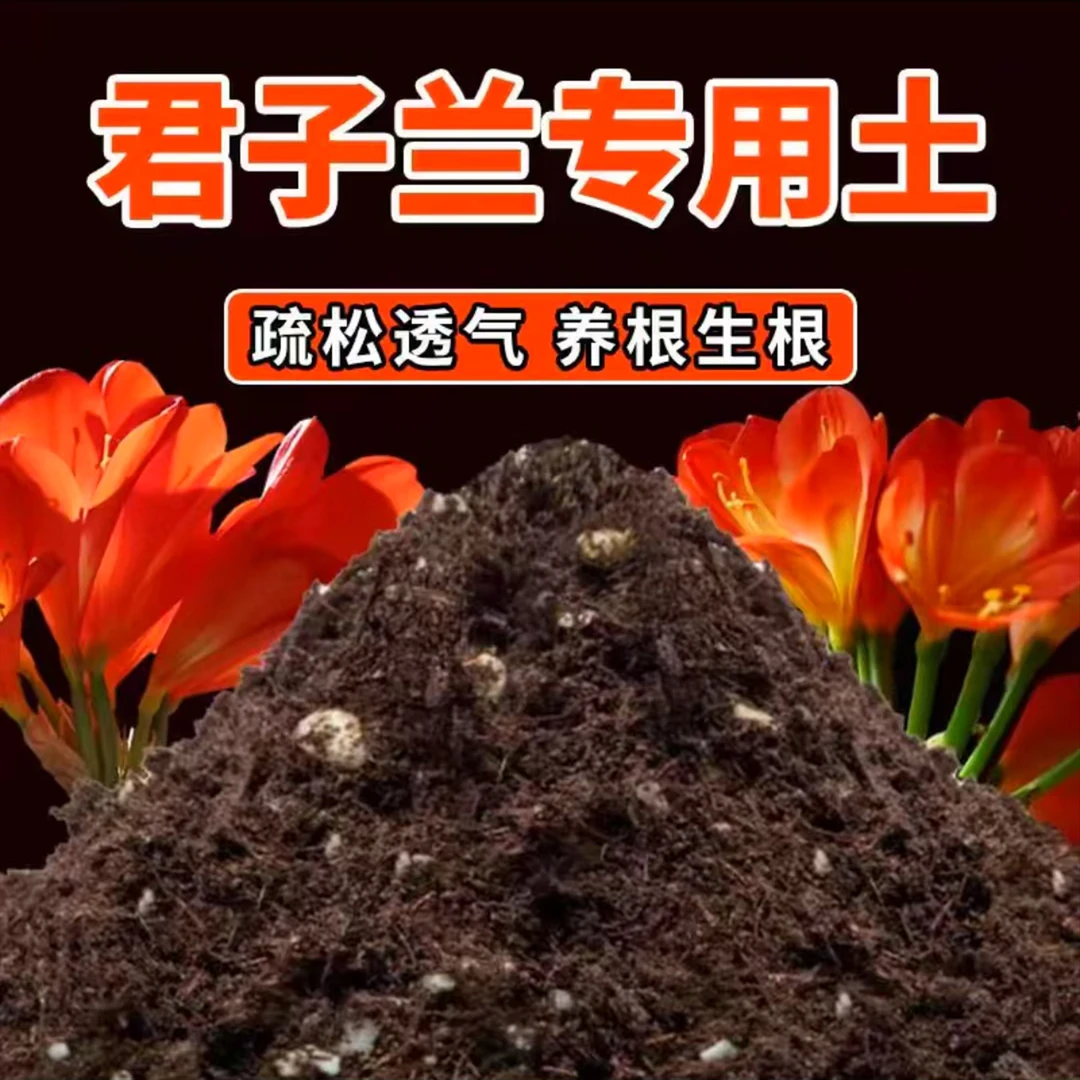 君子兰专用腐叶土