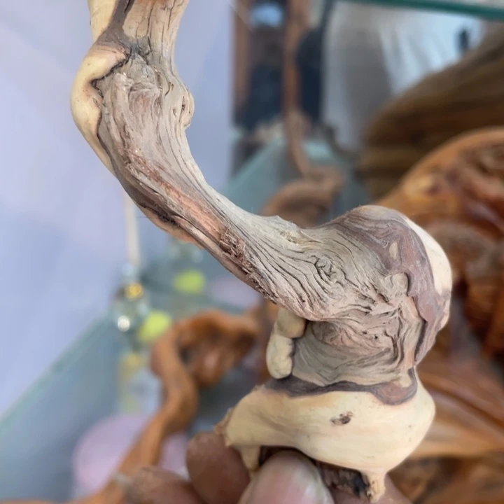浅*我们都是好孩子呀