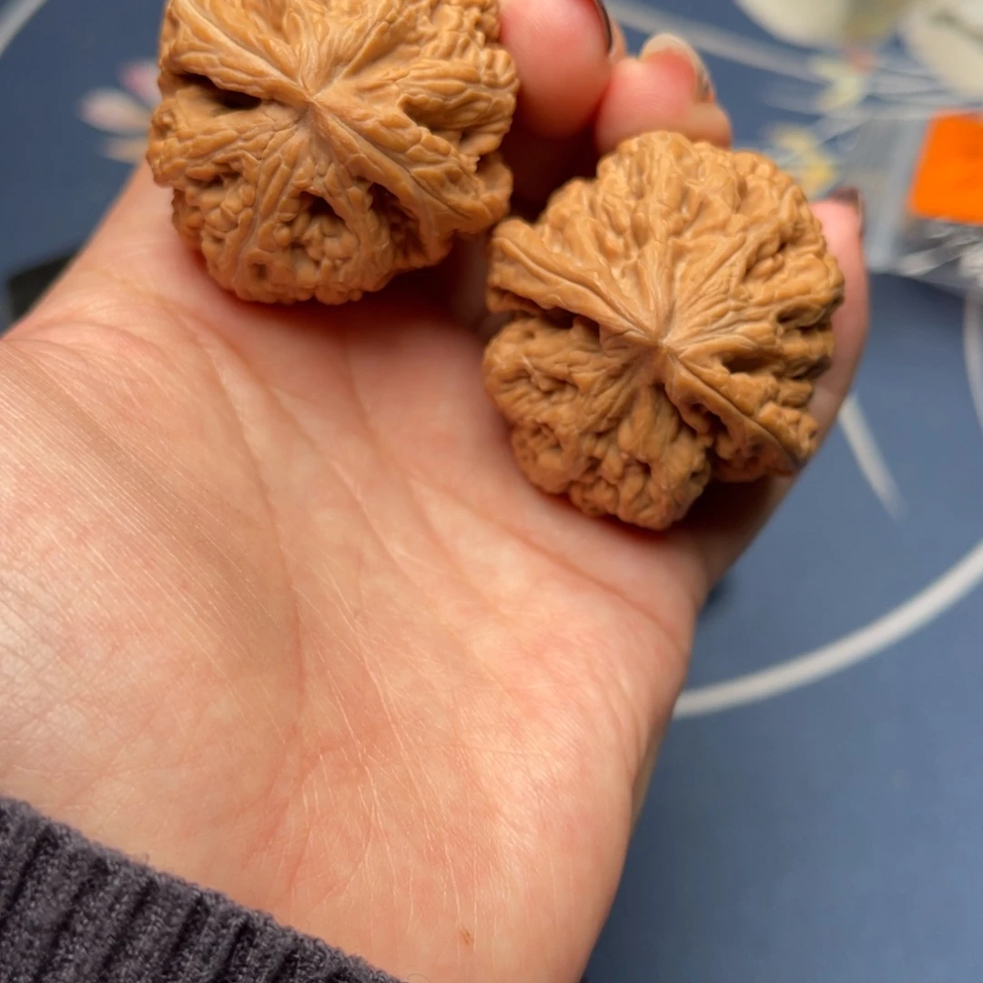 文玩核桃把件林*花粗筋40