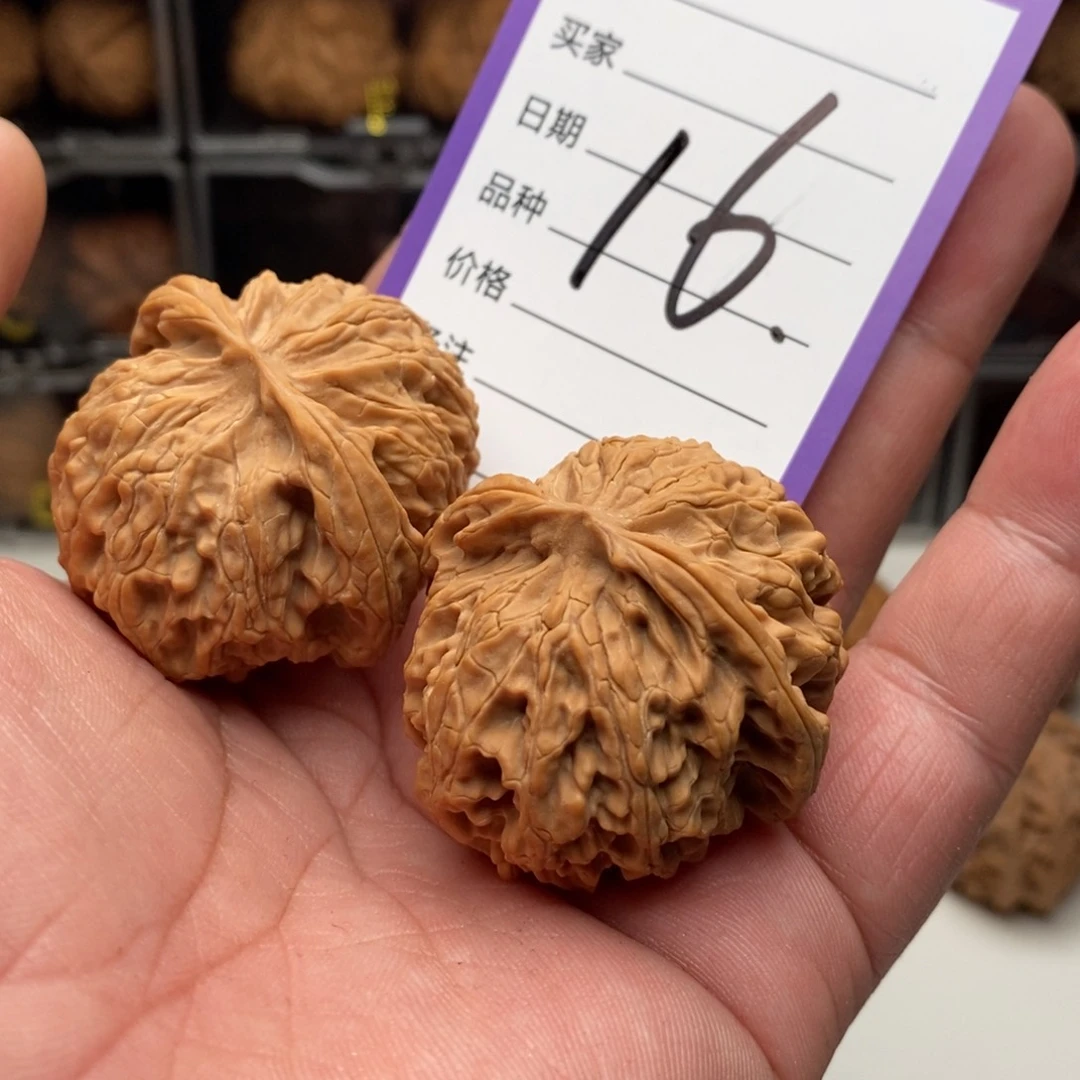 ?****鱼41全品苹果园狮子头