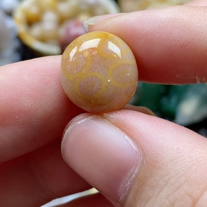 硅化珊瑚（珊瑚玉）颈饰未镶嵌