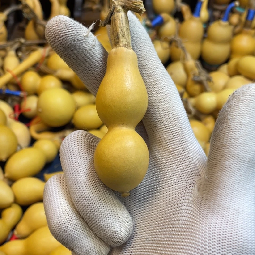 *****大叶紫檀（黑酸枝木类）