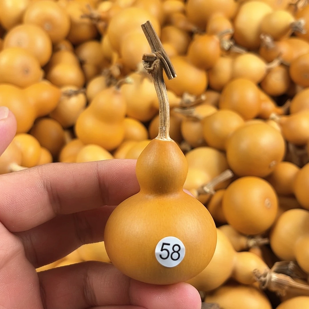 一葫芦葫芦葫芦葫芦葫芦58