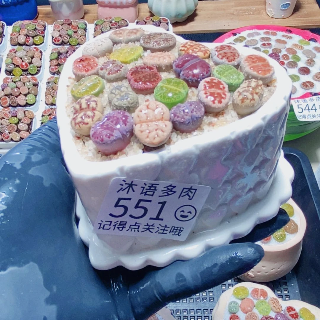 冷***一物一拍 所见即所得551