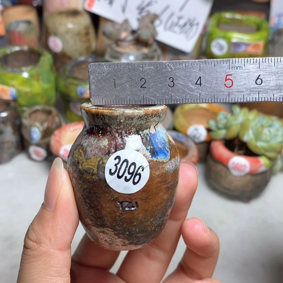 拍5送一个小礼物