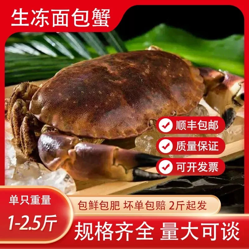 面包蟹黄道蟹膏蟹英伦蟹珍宝蟹【值】