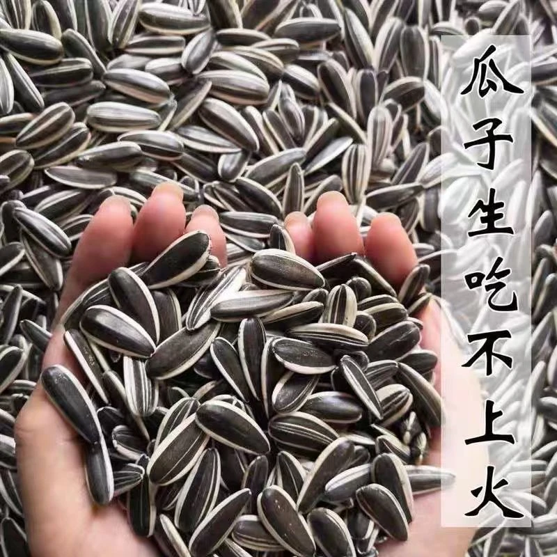 高品质内蒙赤峰363大颗粒原味生熟葵花籽手打多味葵花籽500g/2袋