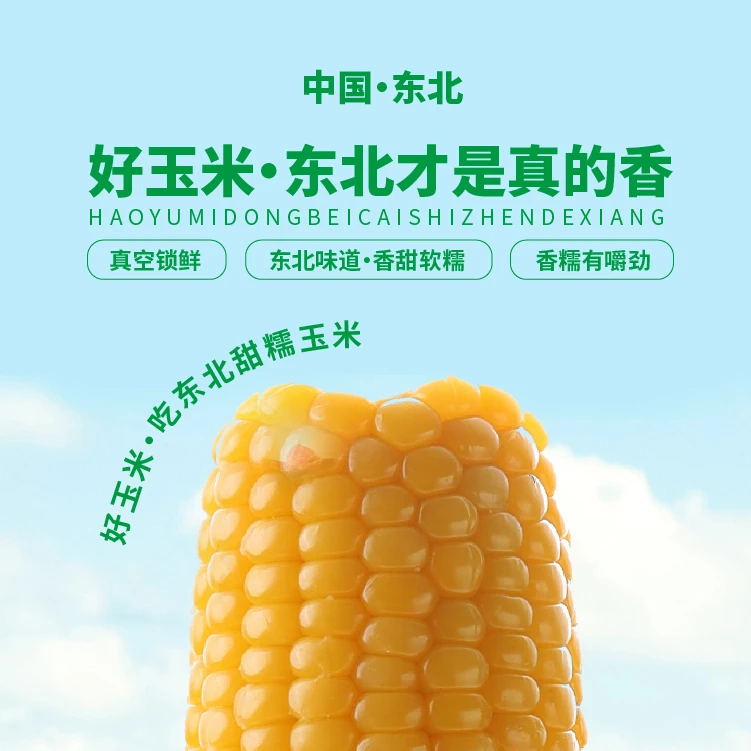 【25年头茬新玉米】金箔黄甜糯玉米大果大棒单根280-300g（试吃两根）