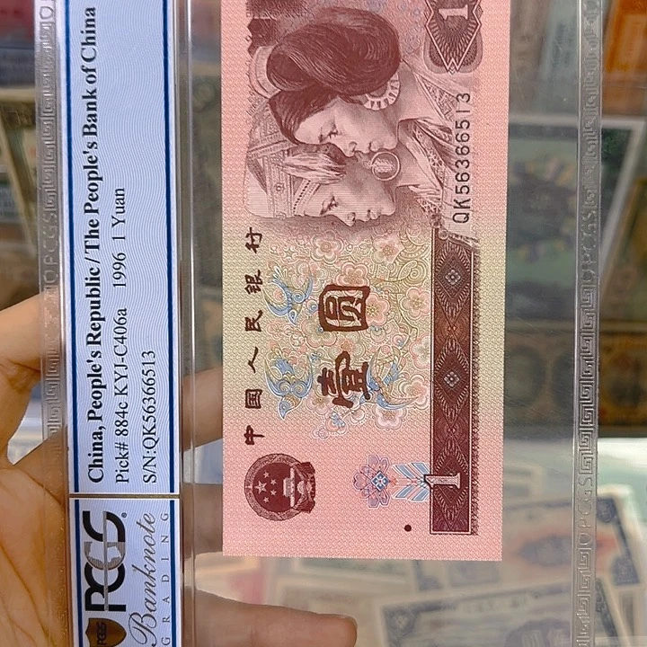 周*9名啊阿啊5z啊啊啊啊啊