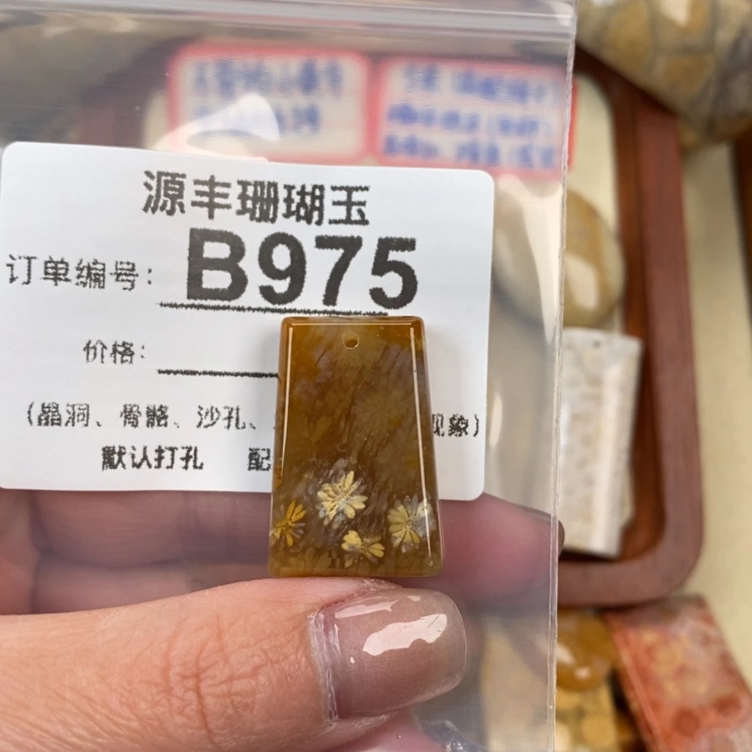 硅化玉颈饰未镶嵌y****y