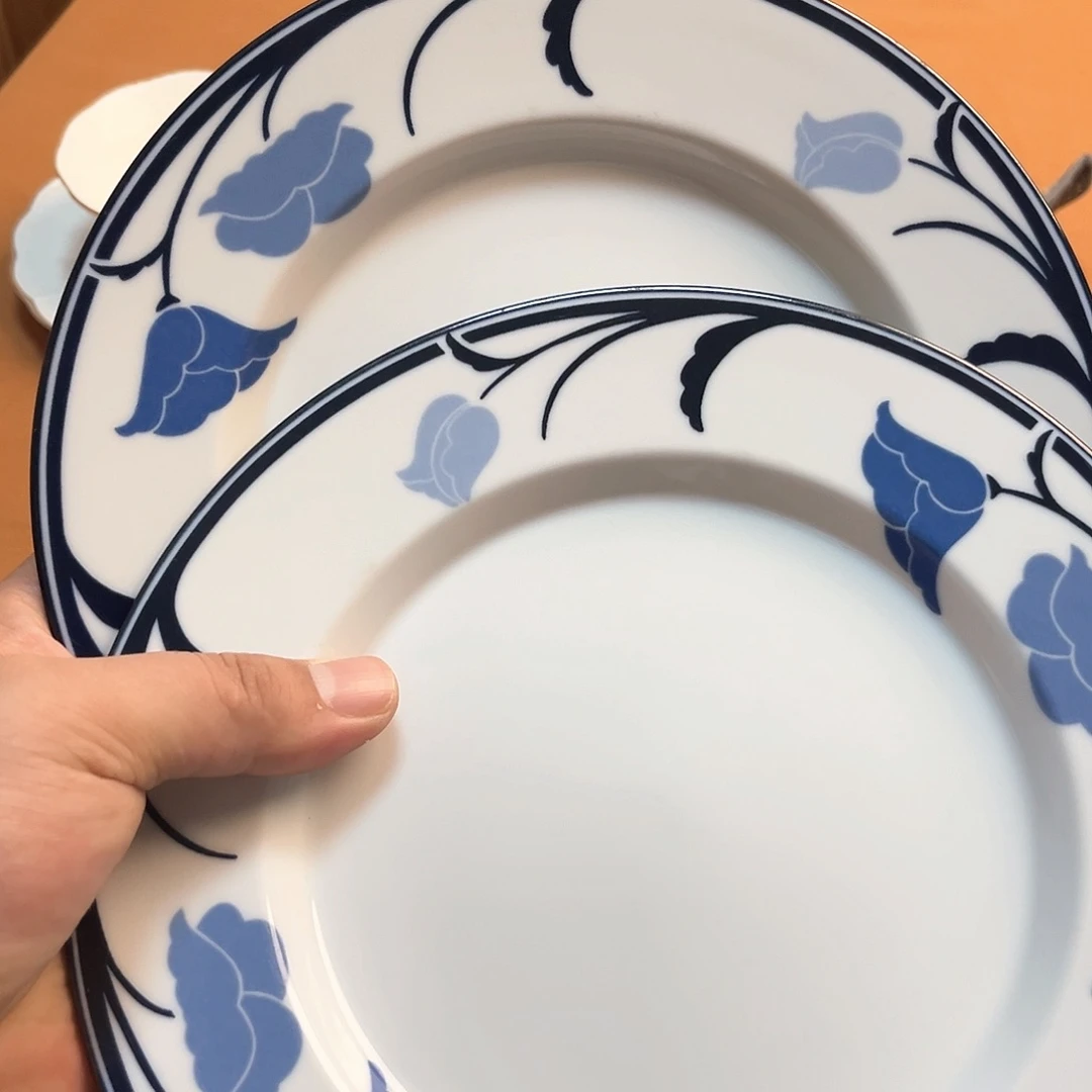 丹麦全新盘子两只