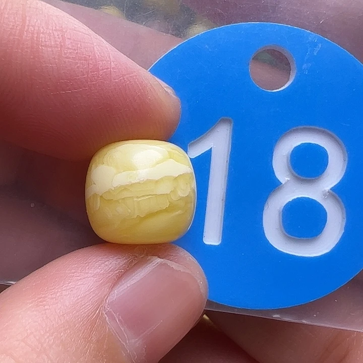 裸石蜜蜡未镶嵌11.5m m