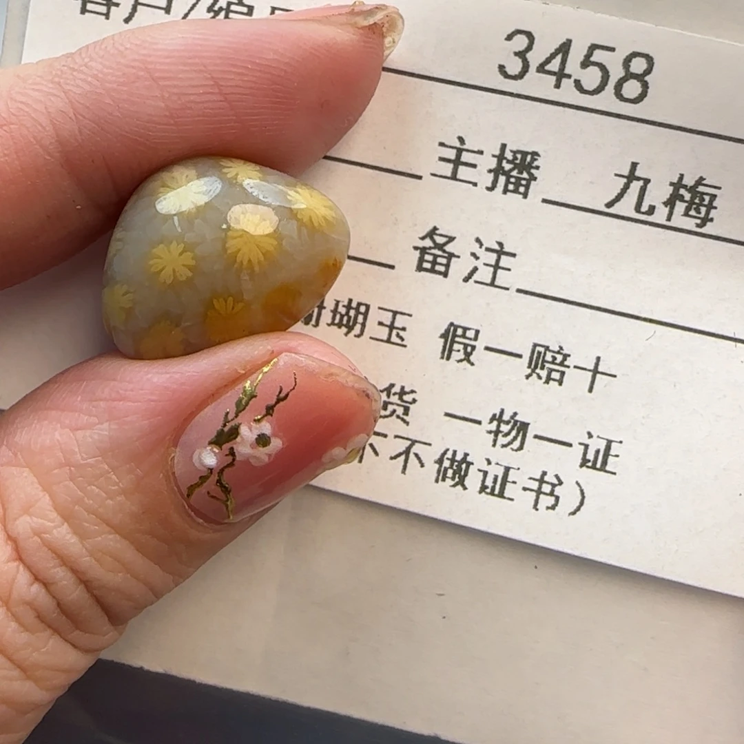 硅化珊瑚（珊瑚玉）未镶嵌颈饰